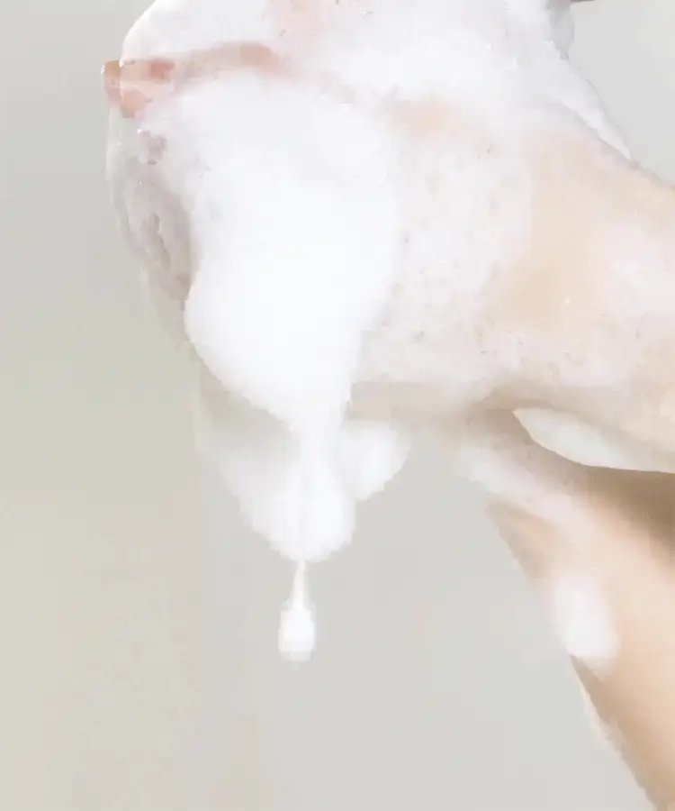 [손상모 케어] 아닐로 로지나잇 리페어 2종세트(샴푸+트리트먼트) 상세페이지 11